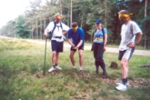 teamdag
